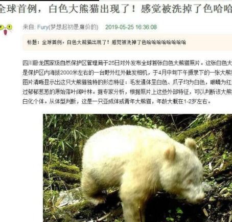 (浣熊好玩吗)浣熊不高兴停服了，还能继续玩吗？无服装的浣熊将何去何从？